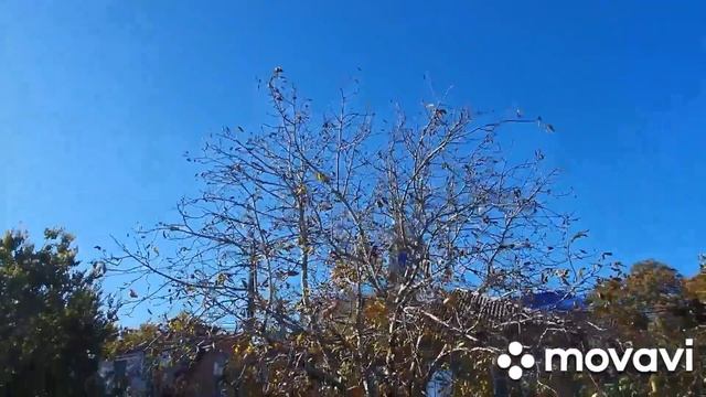 #Ейск?Ул.Свободы. Вдохновляющая прогулка ?Посылка от Василька, обновки и примерка.