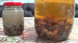 Настойка из бобровой струи рецепт