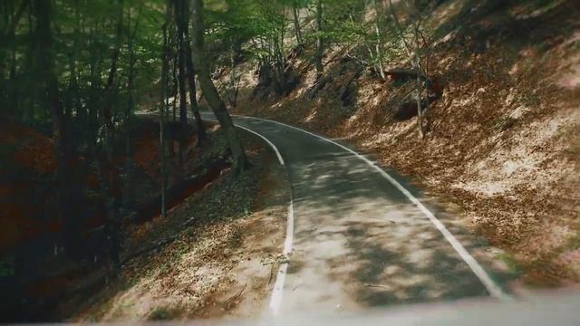 Тайная дорога по крымскому заповеднику Управления делами президента РФ смотреть онлайн