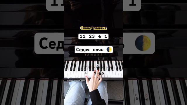 ВСЕ ПЕСНИ "СЛОВО ПАЦАНА" НА ФОРТЕПИАНО. ТУТОРИАЛЫ смотреть онлайн