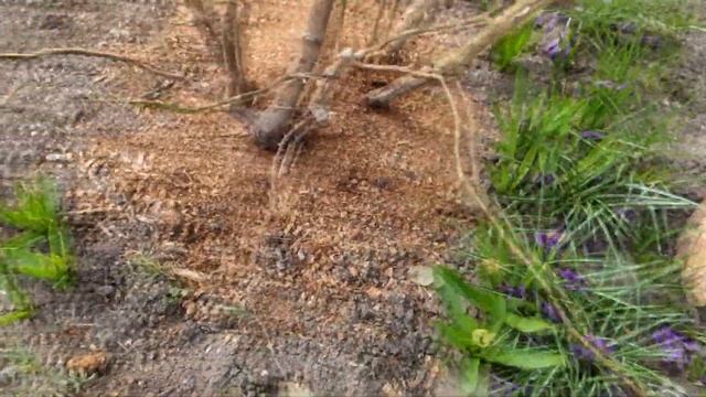 Строительная Сага