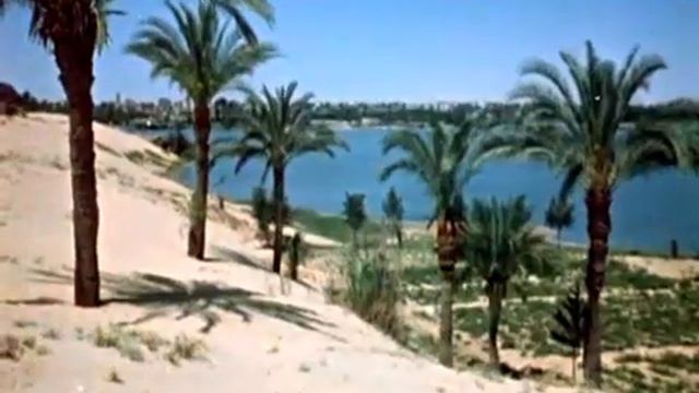 МАМЛЮК (исторический фильм) смотреть онлайн