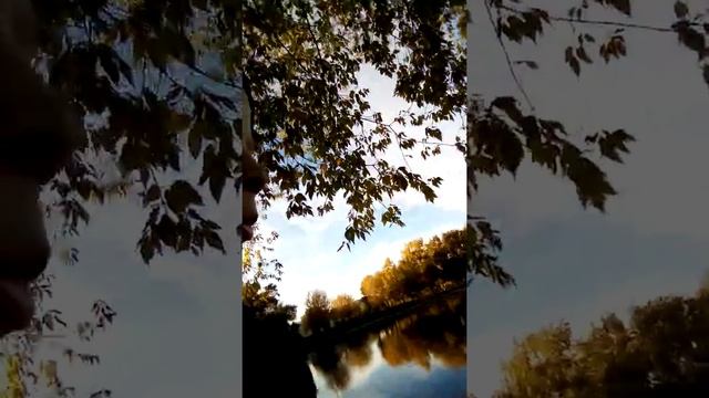 Рыбалка на Головинских прудах часть 2 смотреть онлайн