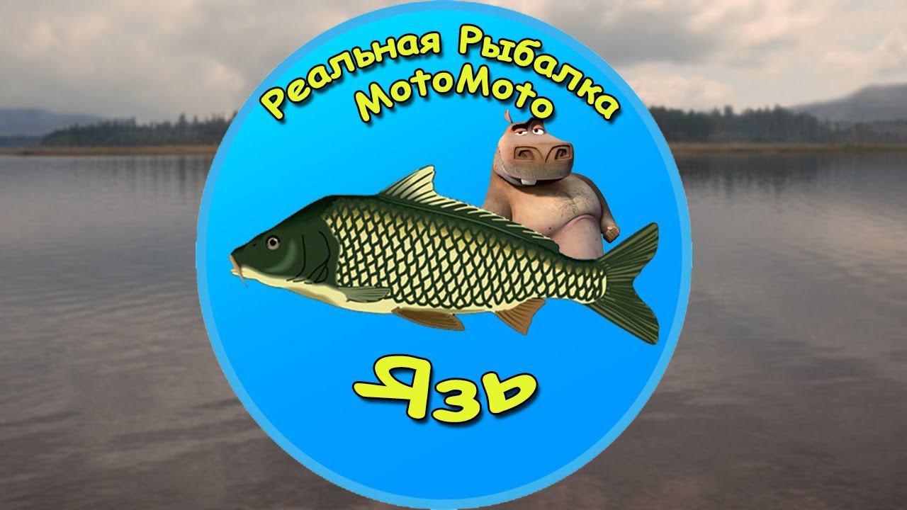 Как поймать Язя на Братском водохранилище [NEW] | Реальная Рыбалка смотреть онлайн