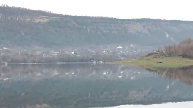 Alexandru Pelin  -  Tata