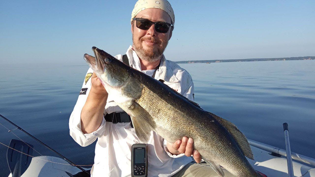 СУДАК на поролон, ЩУКА на силикон. Рыбалка на джиг на Горьковском море. смотреть онлайн