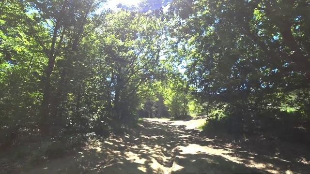 ИДЁМ ЗА ТРАВКОЙ НА ЧАТЫР-ДАГ. КУТУЗОВСКОЕ ОЗЕРО И РОЩА СЕКВОИ смотреть онлайн