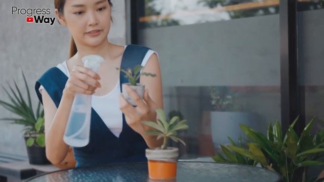 Просто Даю В Декабре Под Все Цветы! Пышно Цветут От Этой Копеечной Подкормки! смотреть онлайн