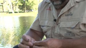 Азбука поплавочной ловли : На рыбалку с Нормундом #44