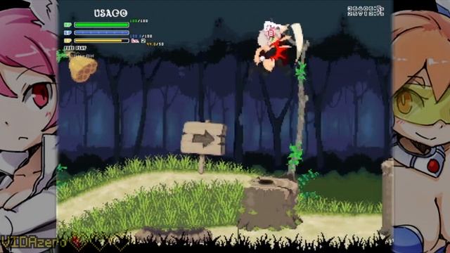 Echidna Wars Dx - Usaco cute bunny Cosplay Stage 2 Gameplay смотреть онлайн