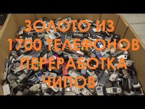 Золото из чипов от 1700 телефонов.