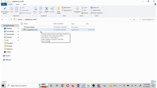 How to launch Edge Browser in Selenium WebDriver смотреть онлайн