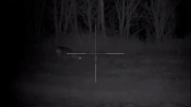 Охота на косулю смотреть онлайн