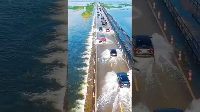 Движение- жизнь! смотреть онлайн