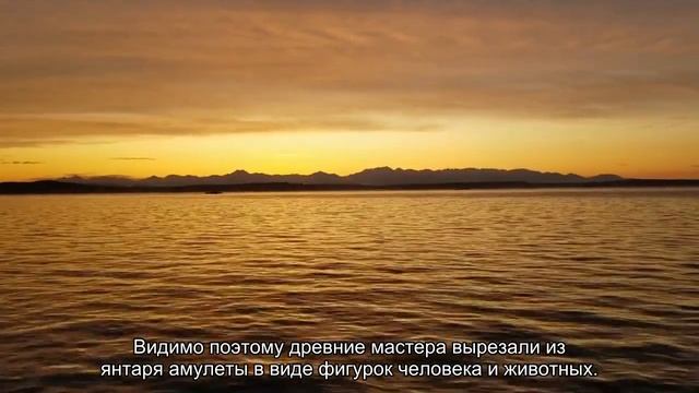 О музее янтаря в Калининграде: адрес, режим работы, стоимость посещения смотреть онлайн