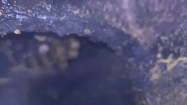 Идея Для Бизнеса Гранулированная Хвойная Мука Как Добавка В Корма Business Idea Granulated Conifero смотреть онлайн