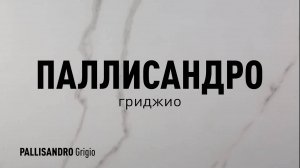 ПАЛЛИСАНДРО ГРИДЖИО MR - матовый керамогранит под мрамор марки Идальго