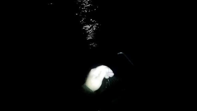 ПОЛНОЛУНИЕ НЕ ПОМЕХА ДЛЯ ХОРОШЕГО КЛЁВА ЛЕЩА. смотреть онлайн