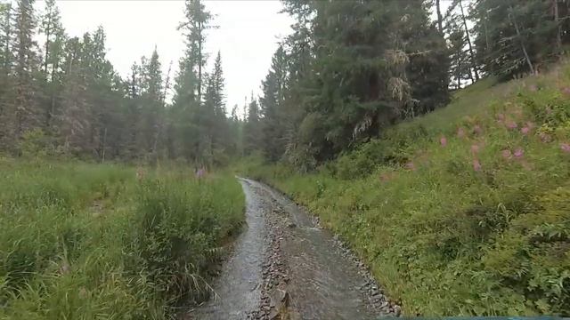 На Каракате по Горному Алтаю смотреть онлайн