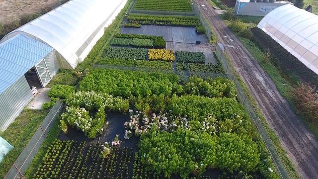 Осень в питомнике Внуково смотреть онлайн