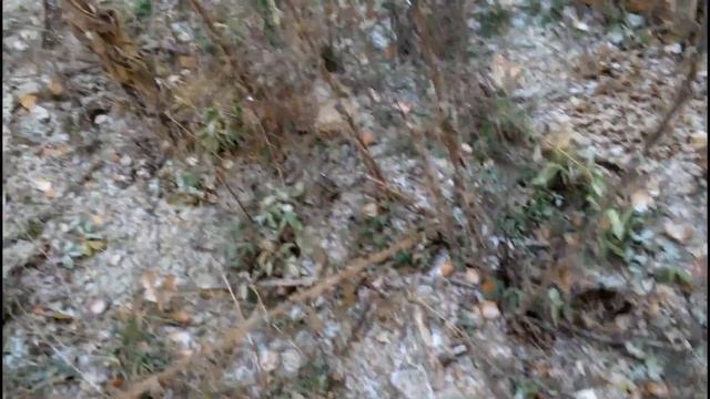 Поиск камней для бани смотреть онлайн