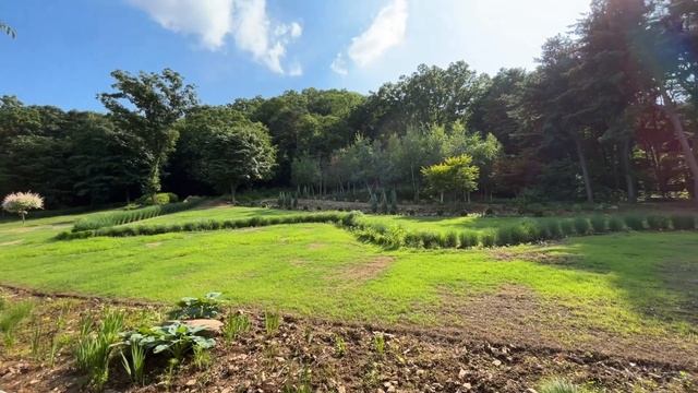 Eunice's Garden Sketch смотреть онлайн
