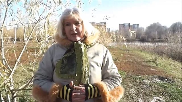 Стихи, посвещенные моему адвокату смотреть онлайн