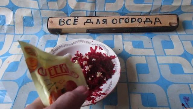 ДЕЛАЮ ПО ДВА РАЗА В НЕДЕЛЮ! Три НОВЫХ салата ИЗ СВЕКЛЫ и ЧЕСНОКА. смотреть онлайн