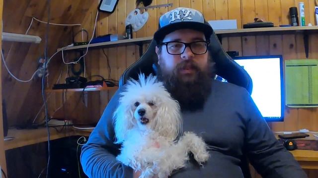 Москва и Подмосковье по спецпропускам. День #1. #100ДнейКарантина. смотреть онлайн