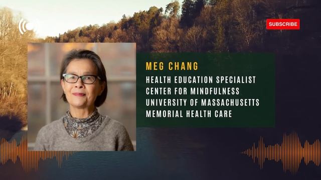 How Mindfulness is an Antidote for Stress w/ Meg Chang (MBSR) смотреть онлайн