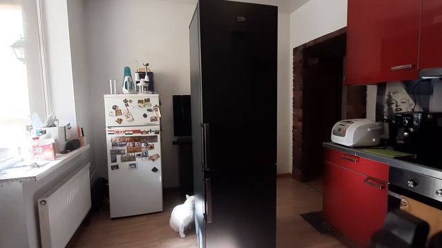 ВЕКО RCNK356E21A Видео №1 смотреть онлайн