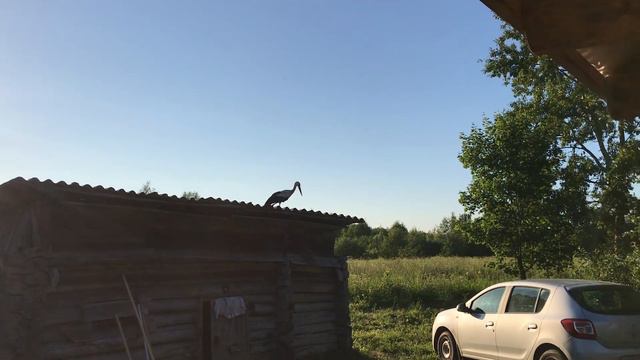 Аист смотреть онлайн