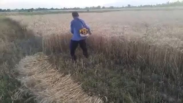 БЕНЗОКОСА-ТРИММЕР benzokosa kasilka смотреть онлайн