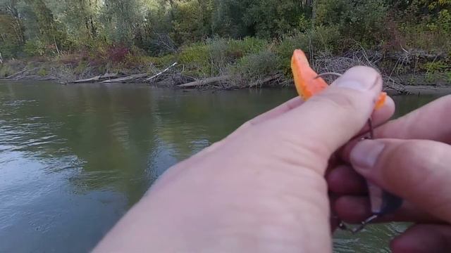 Сентябрьский выезд на Обскую протоку в поисках щуки / Pike trip смотреть онлайн