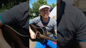 А белый лебедь на пруду на гитаре