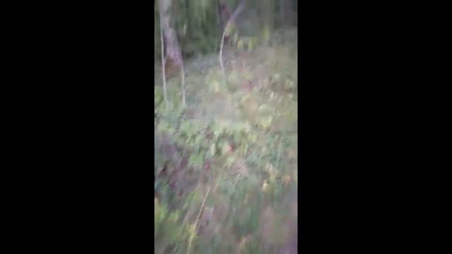 НАШЕСТВИЕ ЗОМБИ В КИЗЕЛОВСКОМ ЛЕСУ! смотреть онлайн