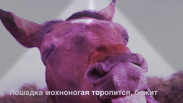 Новогоднее караоке про ёлочку смотреть онлайн