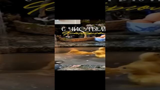 ДОРОГИЕ ДРУЗЬЯ! ПОЗДРАВЛЯЮ ВАС С ПРАЗДНИКОМ! ВСЕМ ЗДОРОВЬЯ И МИРНОГО НЕБА! смотреть онлайн