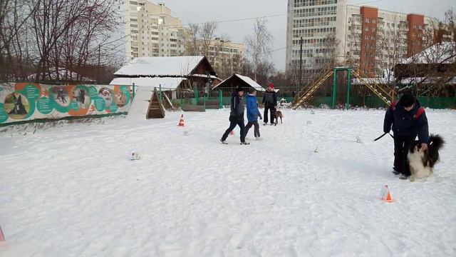 Малинуа Змейка. смотреть онлайн