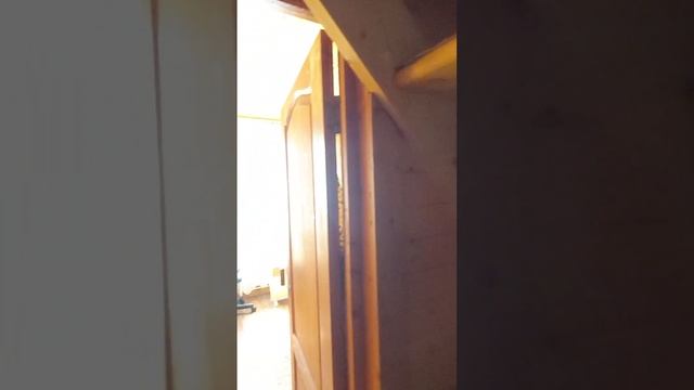 Дом-дача около леса на участке 9.4 сотки со всеми удобствами в СНТ Солнечный, гор. Карабаново смотреть онлайн