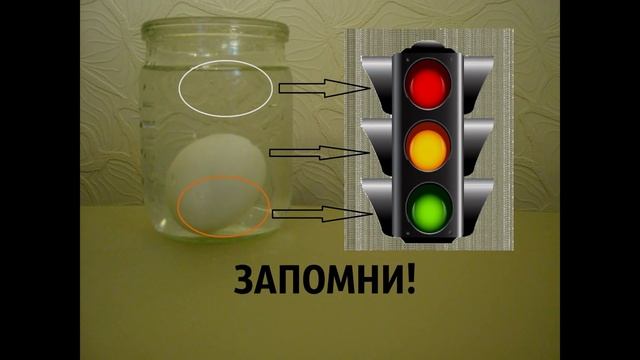 КАК ПРОВЕРИТЬ ТУХЛОЕ ЯЙЦО ИЛИ НЕТ ??? Эксперименты дома ➄ смотреть онлайн