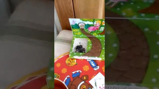 Сад принцессы смотреть онлайн