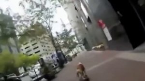 Коты под валерьянкой пытаются разговаривать.