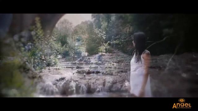 508 ANGEL OF PROVENCE VERSION COURTE Converted