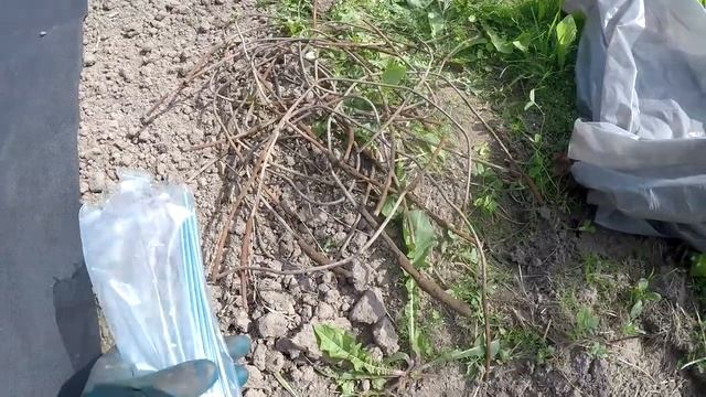 Подготовка грядок для выращивания клубники смотреть онлайн