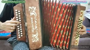 МОЛОДАЯ -  РАЗБОР НА ГАРМОНИ ЦИФРАМИ #кариммуратов #баянпобратски