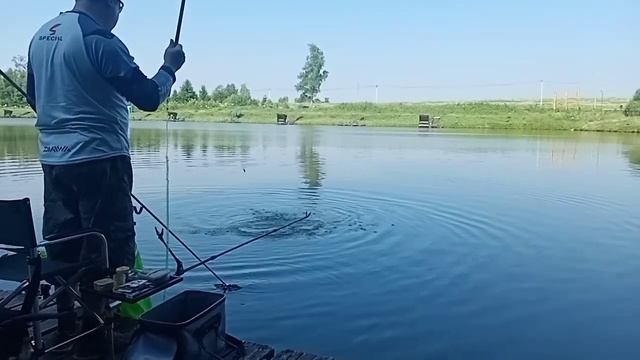 Карп на херабуну в Фишка Берег. смотреть онлайн