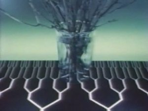 Биология. Учебные фильмы по биологии. Регуляция биологических процессов