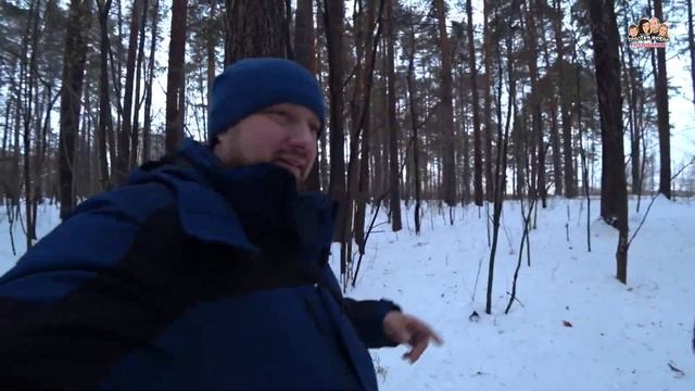 ВЛОГ! Гуляем в лесу с АРЧИКОМ ?Йоркширский терьер на прогулке/Зимняя одежда для Йорка/Простая жизнь смотреть онлайн