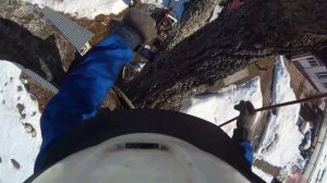 Как спилить дерево по частям на участке От первого лица